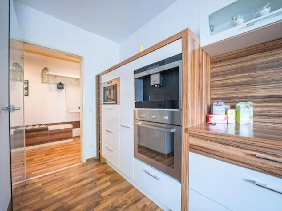 Spacious Luxury Apartment Βιέννη